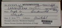 Image Associated With the Occurence